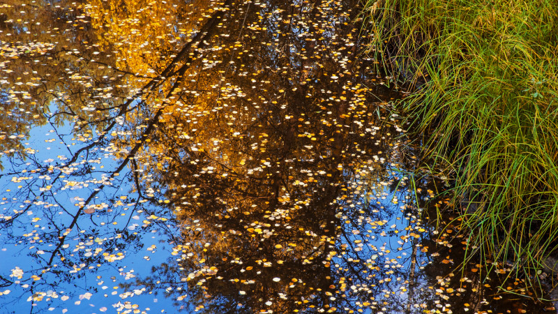 Фото:depositphotos.com