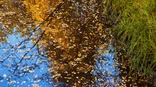 Резкий перепад температур: где в Казахстане ожидается временное потепление