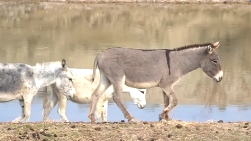 Кадр из видео: КТК