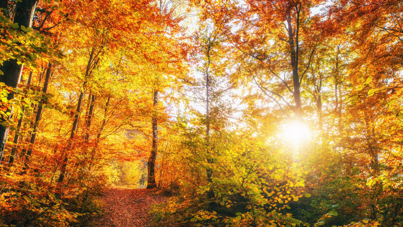 Фото:depositphotos.com