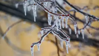 Резкий перепад: в Казахстане пройдут дожди и возможны заморозки