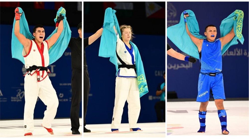 Фото:Национальная федерация MMA Казахстана