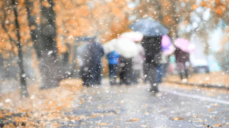 Фото:depositphotos.com