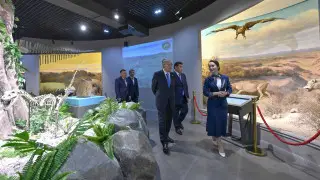 Токаеву показали новый музей в Кызылорде