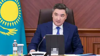 Бектенов поручил нескольким акимам наказать своих заместителей