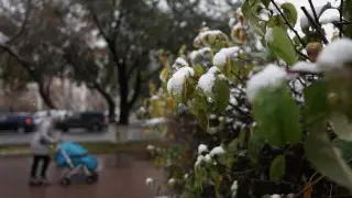 Ветер, дождь и снег: погода изменится в Казахстане 1 ноября