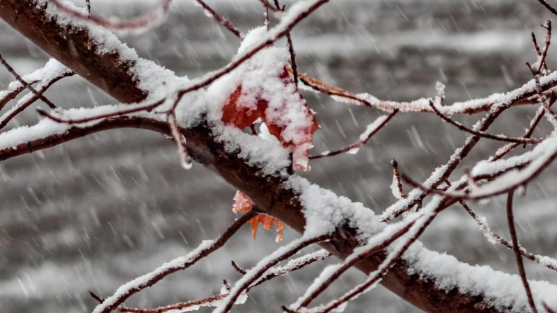 Фото: depositphotos.com