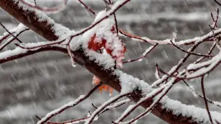 Казахстан накроют снег и метели: прогноз погоды с 2 по 5 ноября