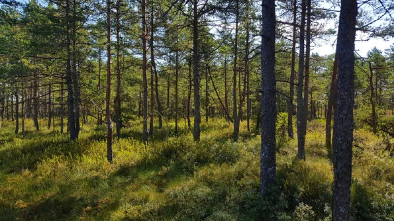 Фото:depositphotos.com