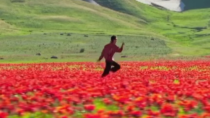 Кадры из видео