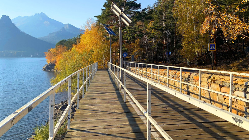 Бин Ладенді қалай жеген