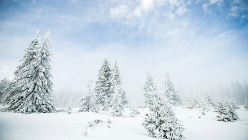 Фото:depositphotos.com