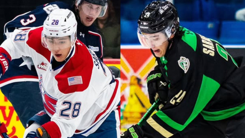 Фото: https://x.com/TheWHL