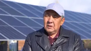 Необычный бизнес развивает житель Жамбылской области