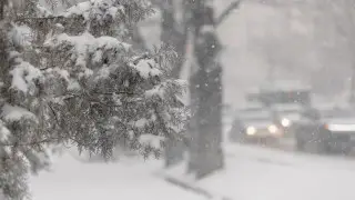 Дождь, снег, метель: какой будет погода в Казахстане 10 ноября