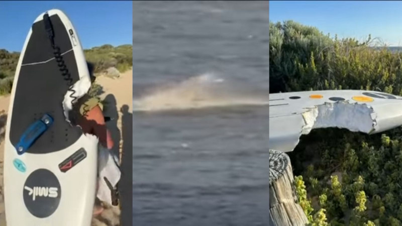 Кадры из видео: YouTube/@7news