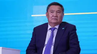 “Какие проблемы или опять голословно?!“ Акима разозлил вопрос про туалеты