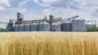 Токаев поручил приступить к строительству новых элеваторов