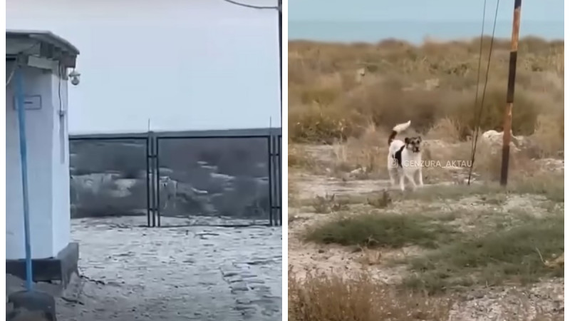 Кадры из видео