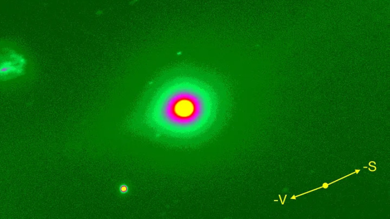 David Jewitt and Jane Luu