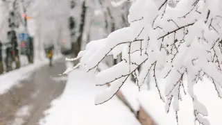 Снег возвращается в Астану, а в Алматы сохраняется тепло: погода на 3 дня