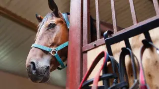 “Жители обеспокоены – не отдадут ли застройщикам?“ – депутат об ипподроме в Алматы