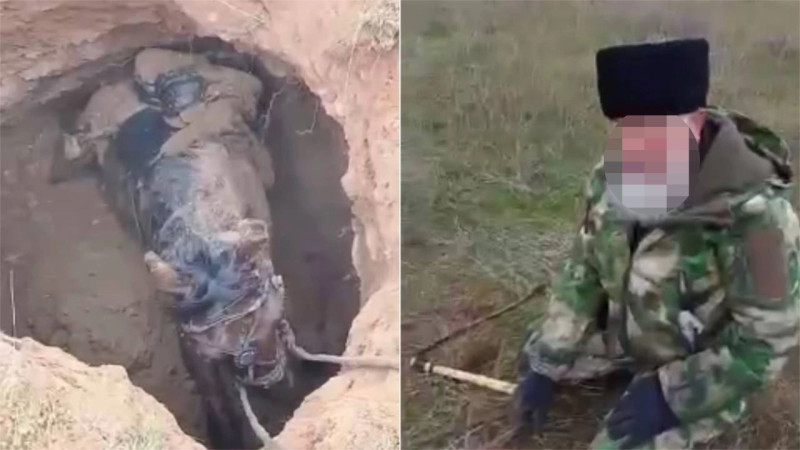 Кадры из видео