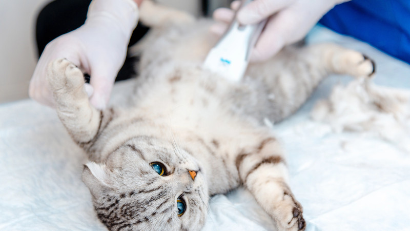 Фото:depositphotos.com