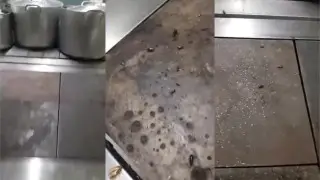 Детский сад в Алматы закрыли после скандального видео с тараканами