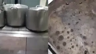 Тараканы, кухня и проверка: что грозит детсаду в Алматы по закону