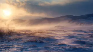 Казахстан накроют метели и туманы: прогноз по областям на неделю