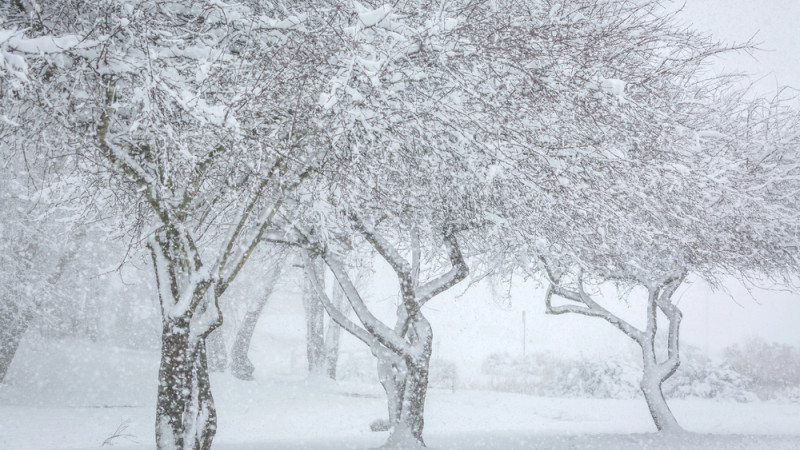 Фото:depositphotos.com