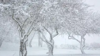 Казахстан ждут туман, дождь со снегом и гололёд. О погоде на понедельник