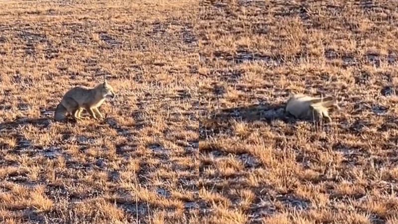 Кадры из видео