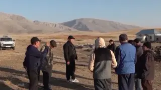 Волки и шакалы держат в страхе целый район в Туркестанской области