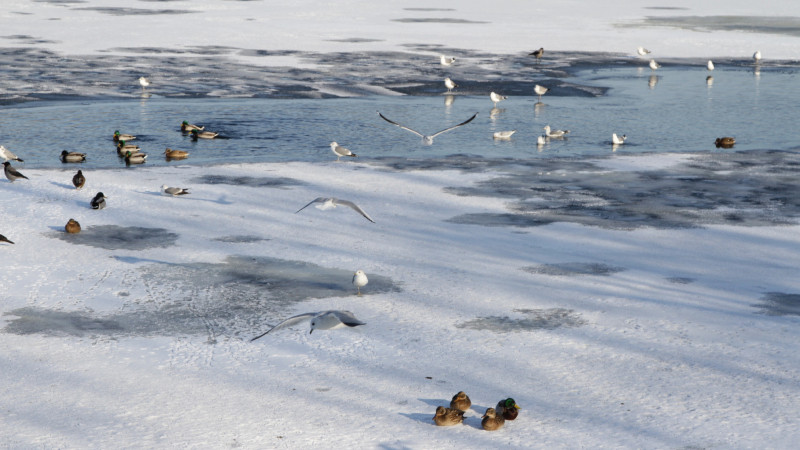 Фото:depositphotos.com