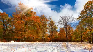 Прогноз погоды в Казахстане на четверг: дождь со снегом и потепление до +18