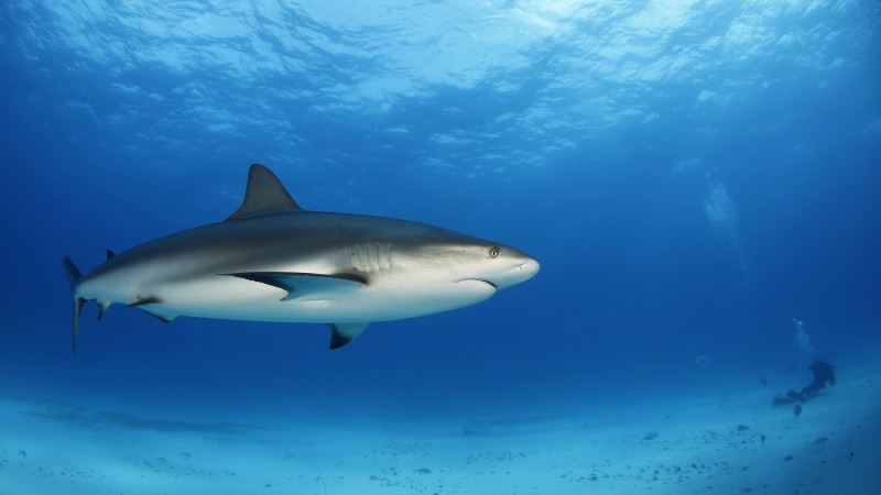 Фото:depositphotos.com