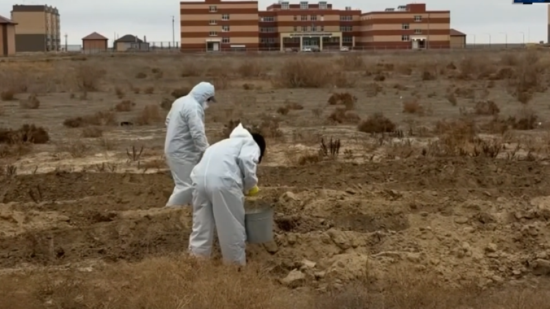 Кадр из видео: КТК