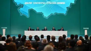 “Принципиальная позиция“. Токаев обратился к депутатам по поводу полномочий акимов