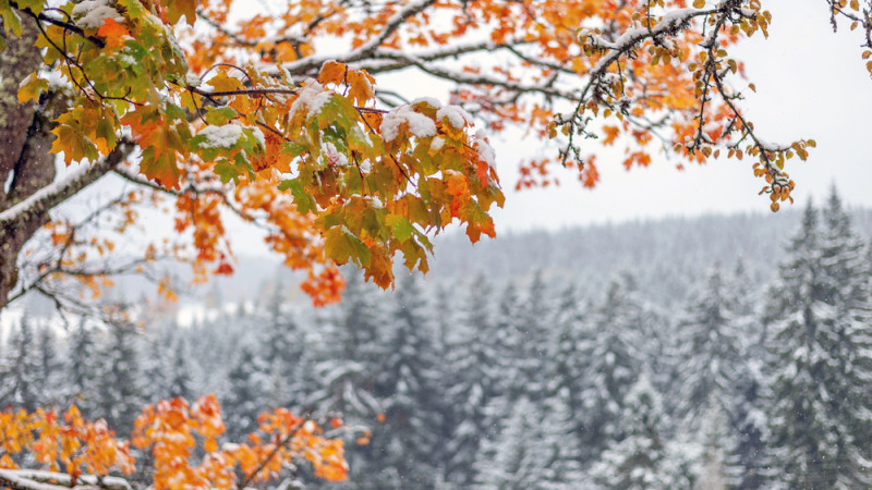 Фото:depositphotos.com