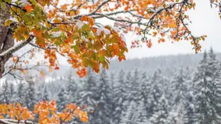 Прогноз погоды в Казахстане на воскресенье: снег, туман и до +13 тепла