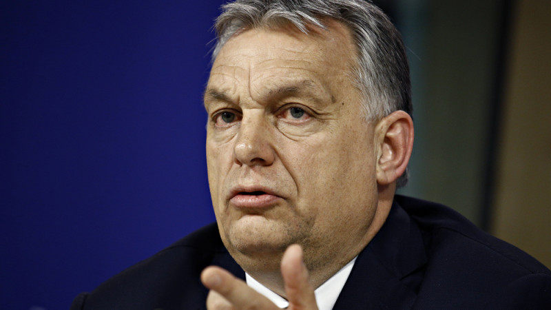 Фото:depositphotos.com / Фото автора Ale_Mi