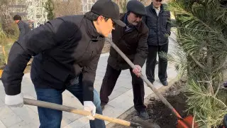 В Актобе посадили более 11 тысяч деревьев