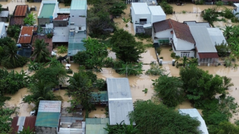 Кадр из видео: TRT