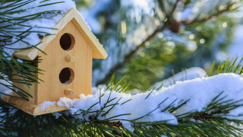 Фото:depositphotos.com