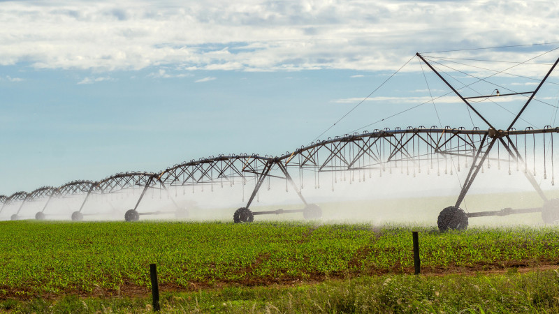 Фото:depositphotos.com