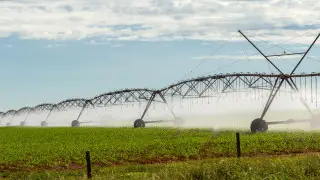 “Не дадим ни капли воды“ - Бектенов о жёстком контроле в 2026 году
