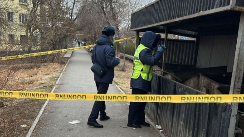 Фото: ДП Туркестанской области