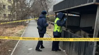 Младенца выбросили в мусорный контейнер в Кентау: полиция ищет мать